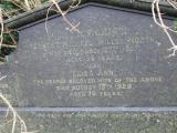 image of grave number 373494